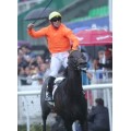 Carrera: P Gobierno Vasco | Caballo: Oriental | Monta: B.Fayos