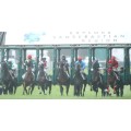 Carrera: P.Hotel Viura | Caballo: Curillines | Monta: V.M.Valenzuela