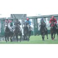 Carrera: P.Hotel Viura | Caballo: Curillines | Monta: V.M.Valenzuela
