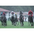 Carrera: P.Hotel Viura | Caballo: Lady Lola | Monta: R.Sousa