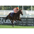 Carrera: P.Tattersalls Biblioteca del Turf MAB | Caballo: Gadea | Monta: R.Sousa