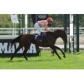 Carrera: P.Tattersalls Biblioteca del Turf MAB | Caballo: Gadea | Monta: R.Sousa