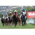 Carrera: Gran Premio de Madrid | Caballo: Cnicht