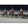 Carrera: P:Gonzalo de Lucas | Caballo: Obanos | Monta: L.Fonseca