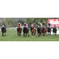 Carrera: P.Familia Gelabert | Caballo: Impressionant | Monta: J.Grosjean