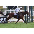 Carrera: P.Ming | Caballo: Sudafrica | Monta: V.Janacek