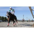 Carrera: P.Colindres | Caballo: Shining Torch | Monta: D.Ferreira