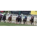 Carrera: P.Aegri | Caballo: City Master | Monta: Srta.Buesa C.