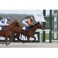 Carrera: P.Raiponce | Caballo: Kosciuszko | Monta: H.Hrubosova