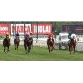 Carrera: P.Teresa | Caballo: Viana | Monta: B.Fayos