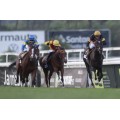 Carrera: Gran Premio de Madrid | Caballo: Lordofthehorizon