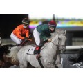Carrera: P.Rocio Arango | Caballo: Zeebullet | Monta: Srta Balcones T M