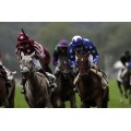 Carrera: P.Sheikh Mansoor Festival  PSA | Caballo: Heelywa PSA | Monta: V.Seguy