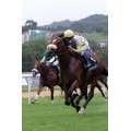 Carrera: P.Tattersalls | Caballo: El Ojancano | Monta: J.Zambudio