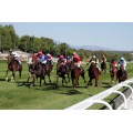 Carrera: P.Who´s He | Caballo: Tiermes | Monta: I.Melgarejo