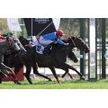 Carrera: P.Who´s He | Caballo: Tiermes | Monta: I.Melgarejo