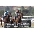 Carrera: P.Dual Sea | Caballo: Rumbo | Monta: J.Gelabert