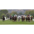 Carrera: G.P. Memorial Duque de Toledo | Caballo: The Game