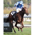 Carrera: P.Veil Picard | Caballo: Lady Razalma
