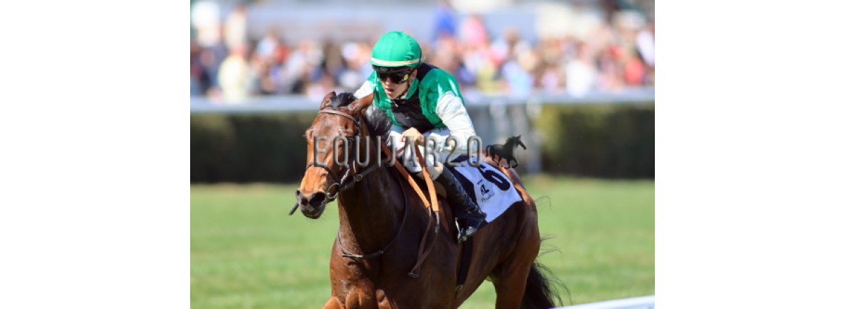 Concepcion Line y el duende