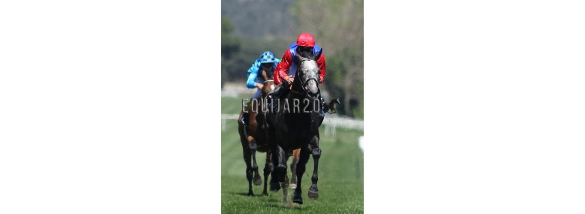 Informe II: La llave del GPM