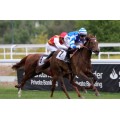 Carrera: P.Nouvel An | Caballo: Lady Razalma