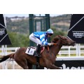 Carrera: P.Nouvel An | Caballo: Lady Razalma