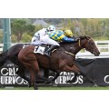 Carrera: P.Young Tiger | Caballo: Sommersun | Monta: A.Werle
