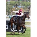 Carrera: G.P Antonio Blasco | Caballo: Love For Life
