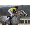 Carrera: P.Diurno | Caballo: Headhunter