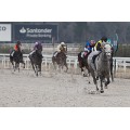 Carrera: P.Diurno | Caballo: Headhunter