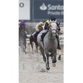 Carrera: P.Diurno | Caballo: Headhunter