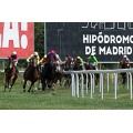Carrera: P.Jose Luis de Salas | Caballo: Hetera | Monta: J.Gelabert