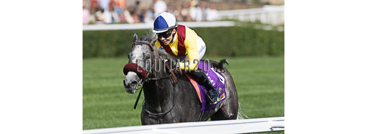 Jesús Exposito ( ya publicado en A Galopar)