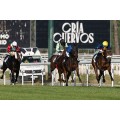 Carrera: P.Marita Villalonga | Caballo: Passingshot | Monta: M.Foulon