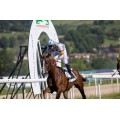 Carrera: P.Fregentri | Caballo: Pamplona