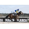Carrera: P.Gaspar | Caballo: Flaming Glass | Monta: Srta, Mora-Figueroa M 