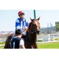 Carrera: P.Fernando Savater | Caballo: Majestad | Monta: J.Gelabert