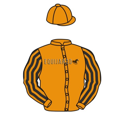 Valdomus real Estate PSI