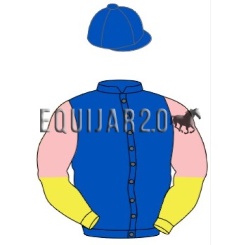 C.De Rubies y Zafiros