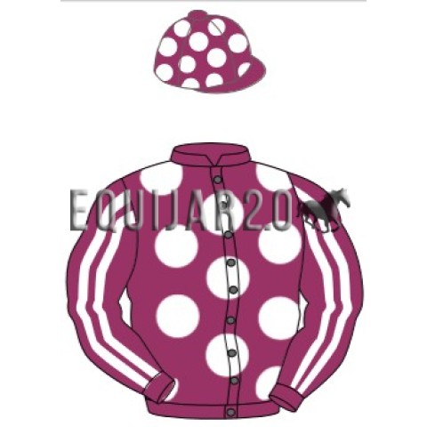 Cheik Abdullah Bin Khalifa Al Thani