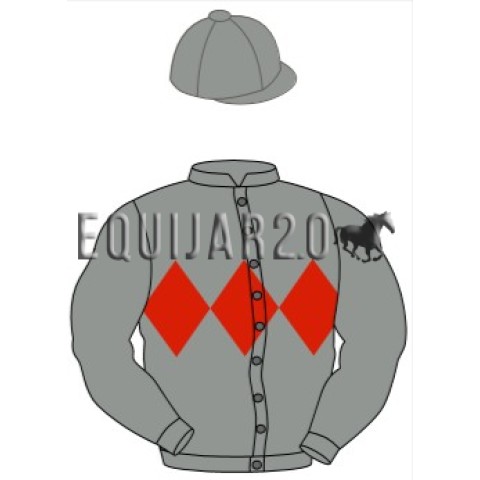 Ronny Van Aerstselaer