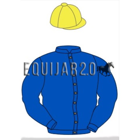 Vizconde de Alverça