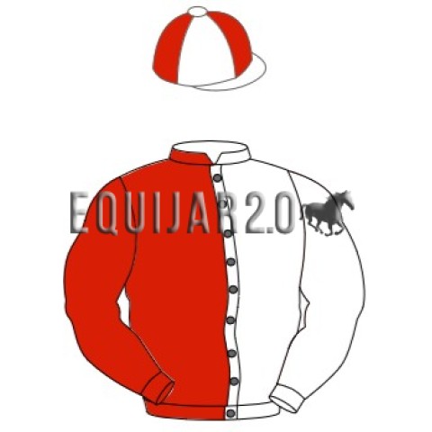 Sr.C Ferreira Pinto Basto