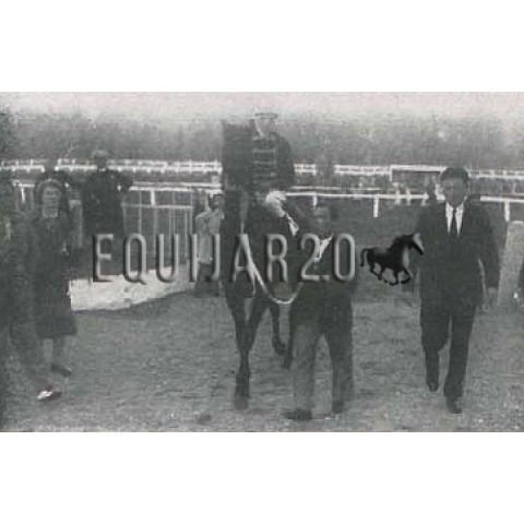 Duende ( ex Eager Bachelo