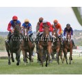 Carrera: Oaks | Caballo: Golding Star | Monta: B.Fayos