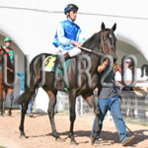 El Magata (ex Canoe)