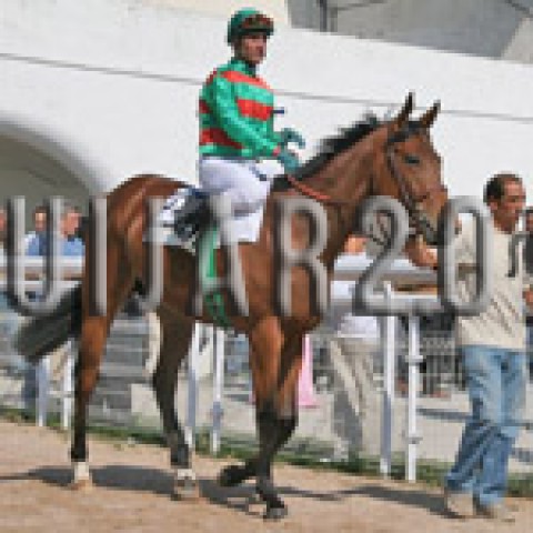 Equiano