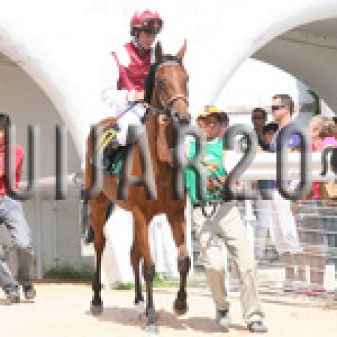 Fantastic Dream 2007