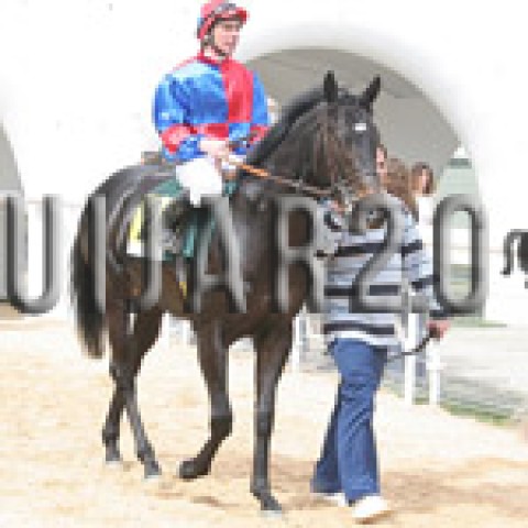 Gran Fegon (ex Brio)